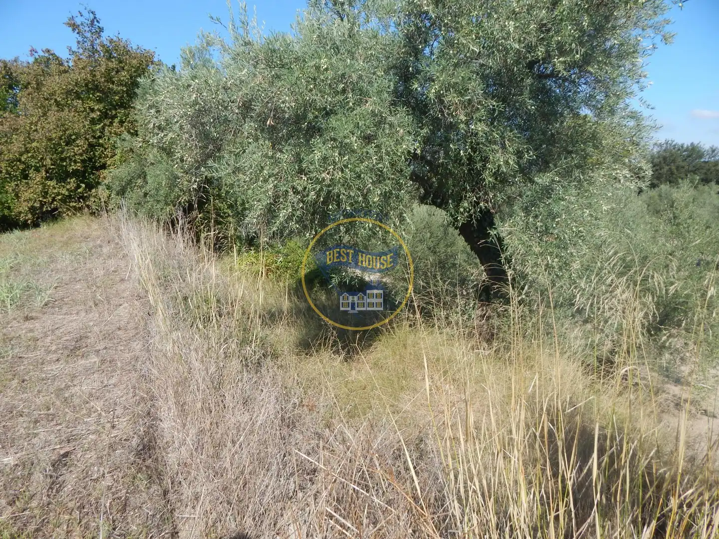 Terrain rustique à vendre à Sant Josep - Zona Hospital, imagen 3