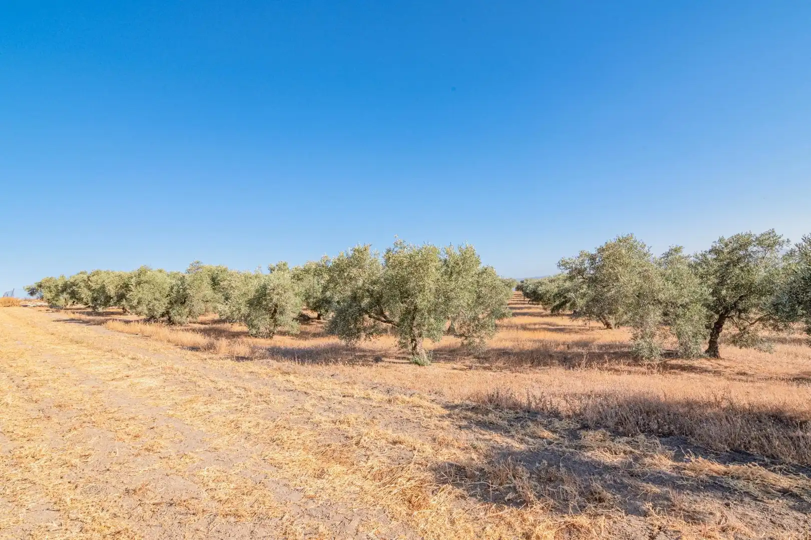 Apartments for sale in Santa Fe