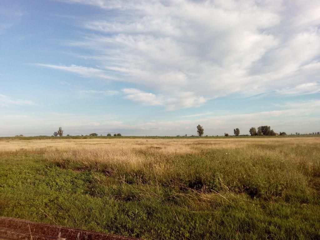 Land for sale in Acebedo