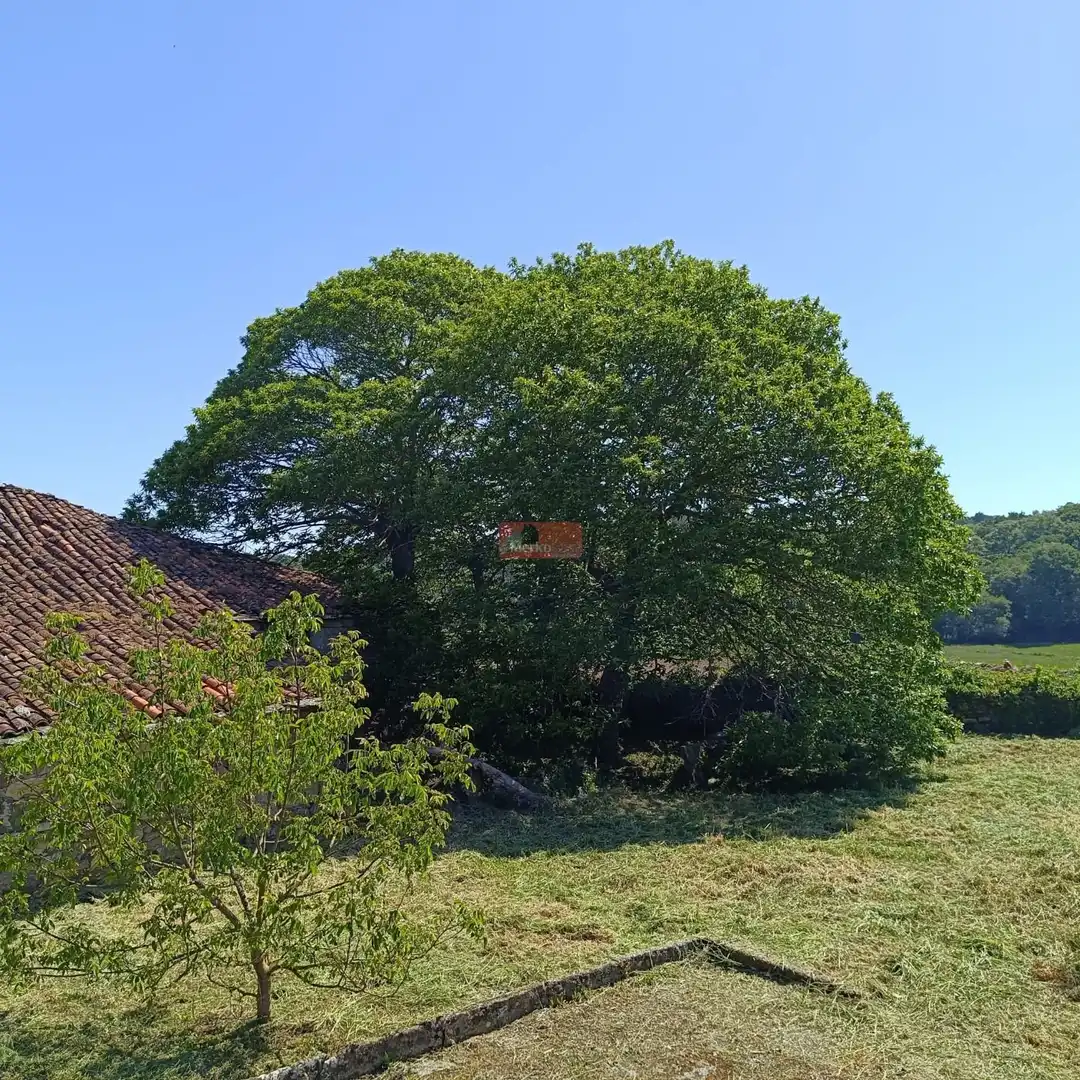 Country homes for sale in Monterroso