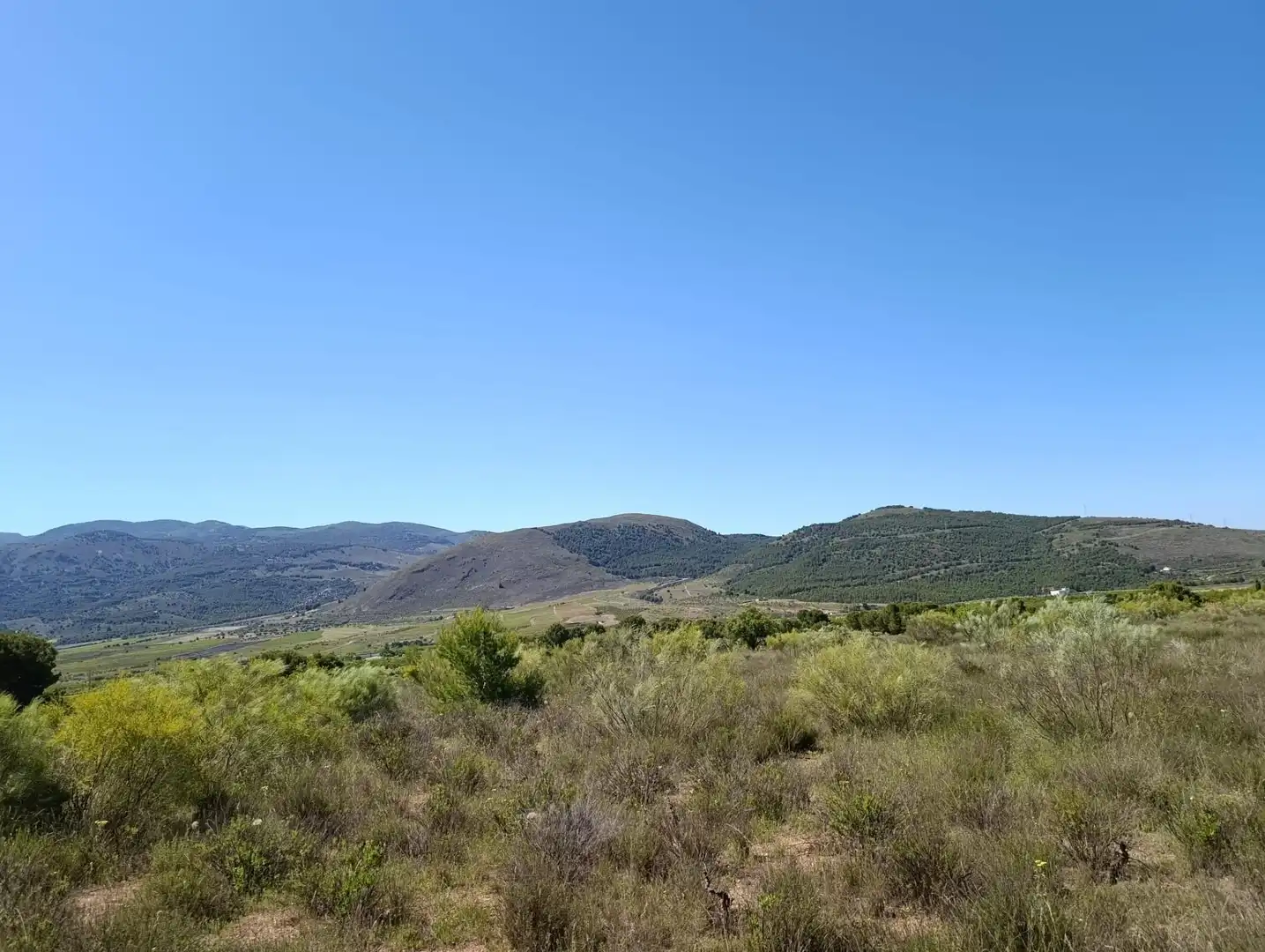 Terreny rústic en venda a Paterna del Río, imagen 8