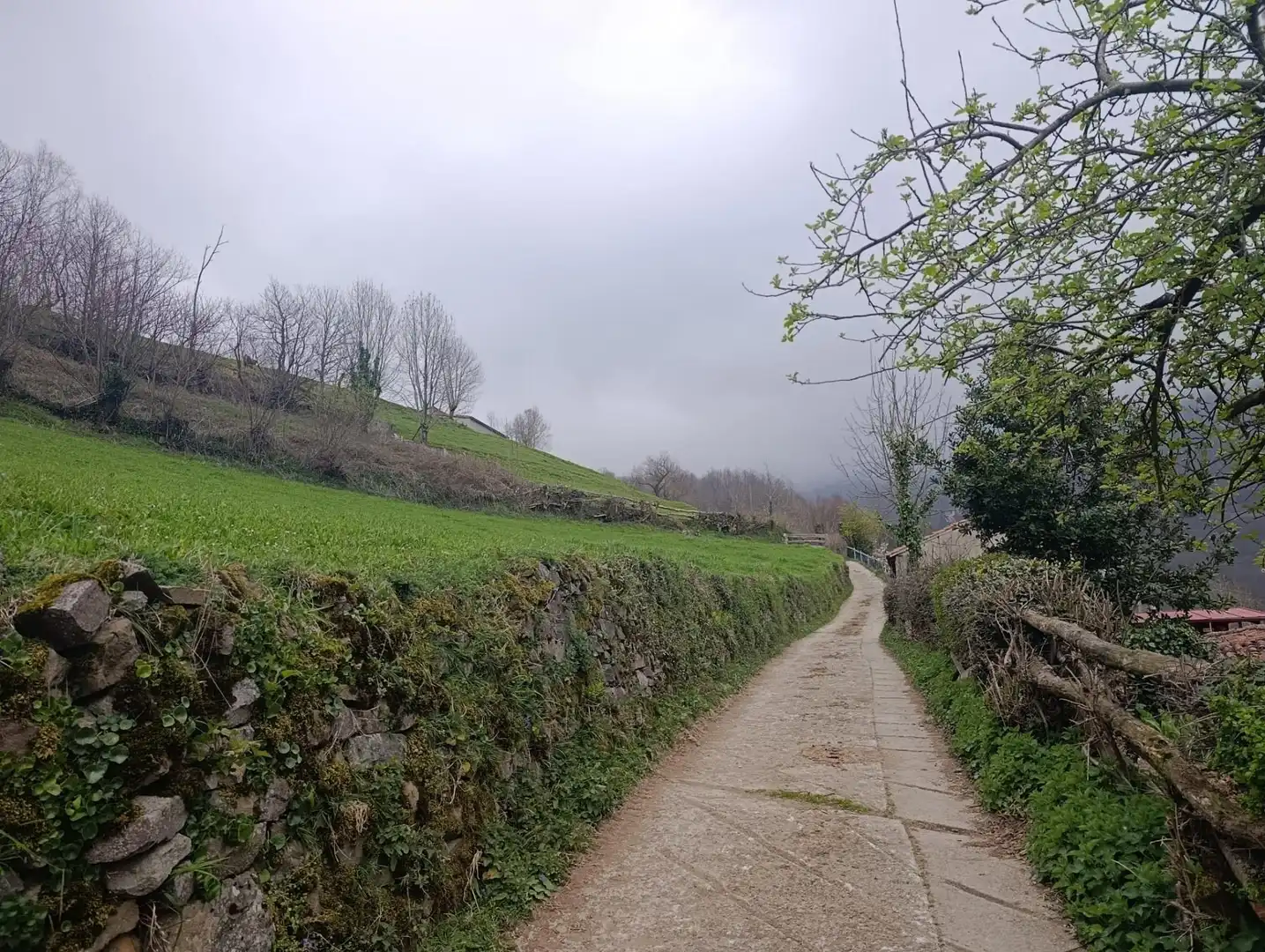 Vista exterior de Finca rústica en venta en Caso