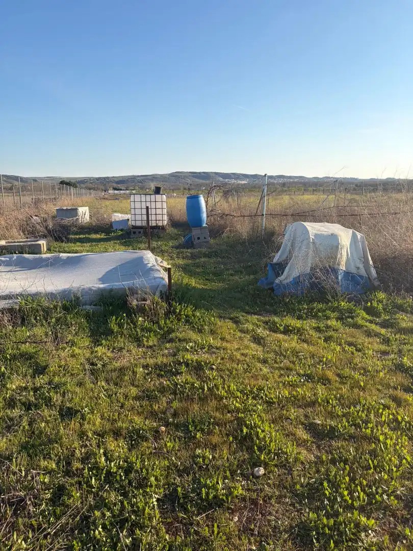 Land for sale in Aranjuez