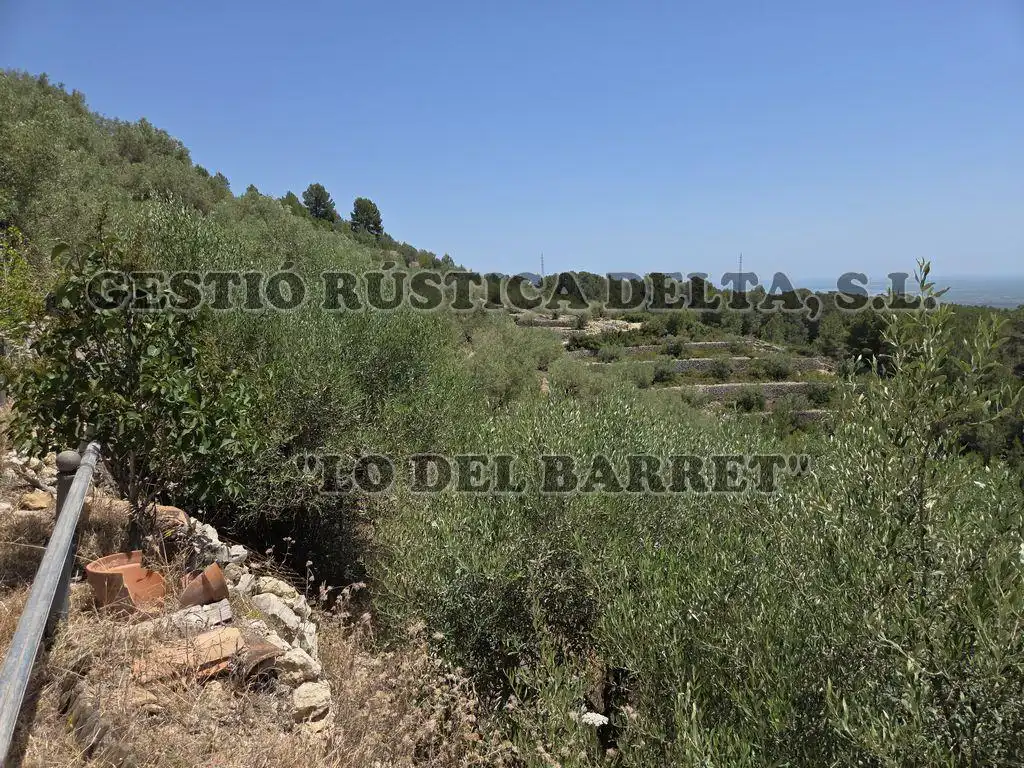 Country homes for sale in Tortosa  with Terrace