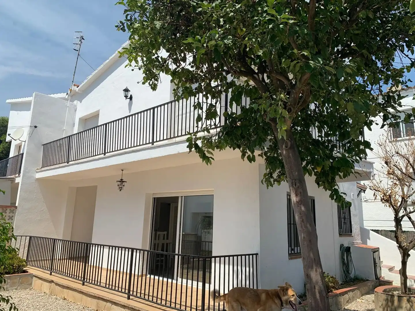 Vivienda con jardín en venta en Xile, imagen 2