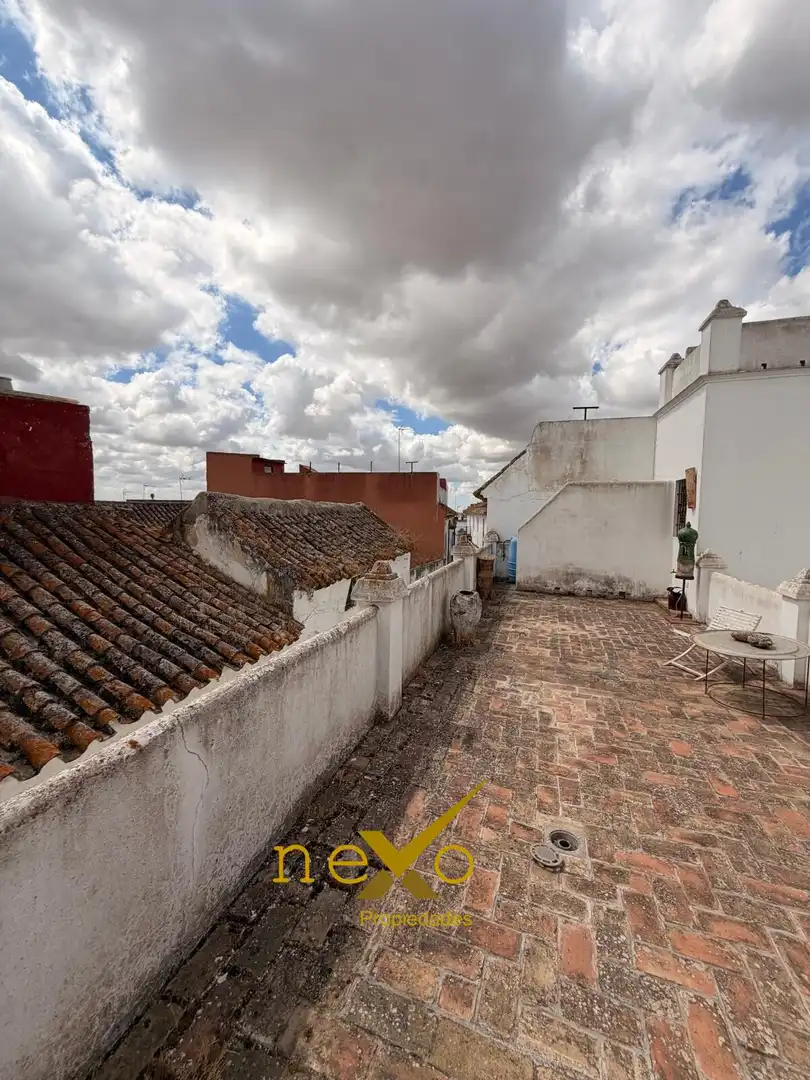 Vista exterior de Casa o chalet en venta en Carmona con Aire acondicionado y Terraza