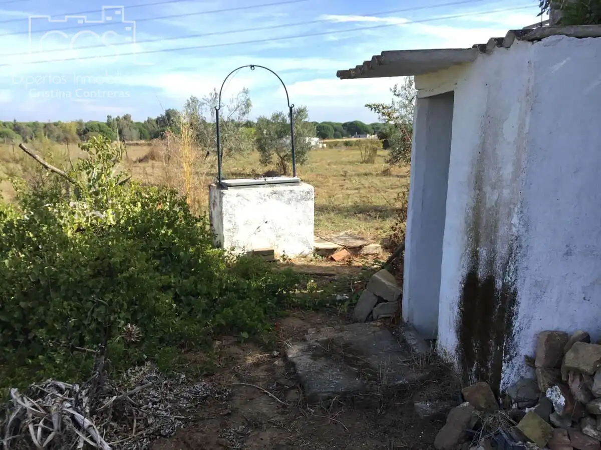 Country house for sale in Almonte ciudad, imagen 27