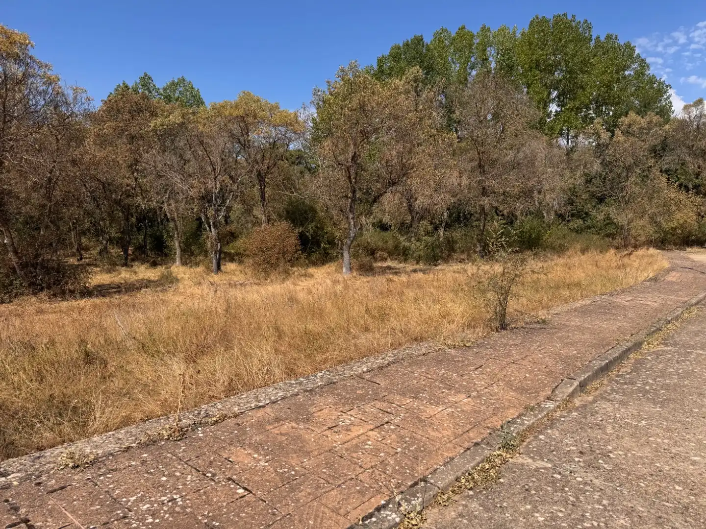 Residencial en venta en Almarza