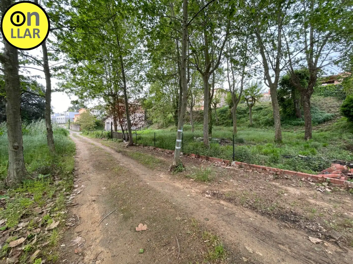 Residential land for sale in Calle Alzina, imagen 17