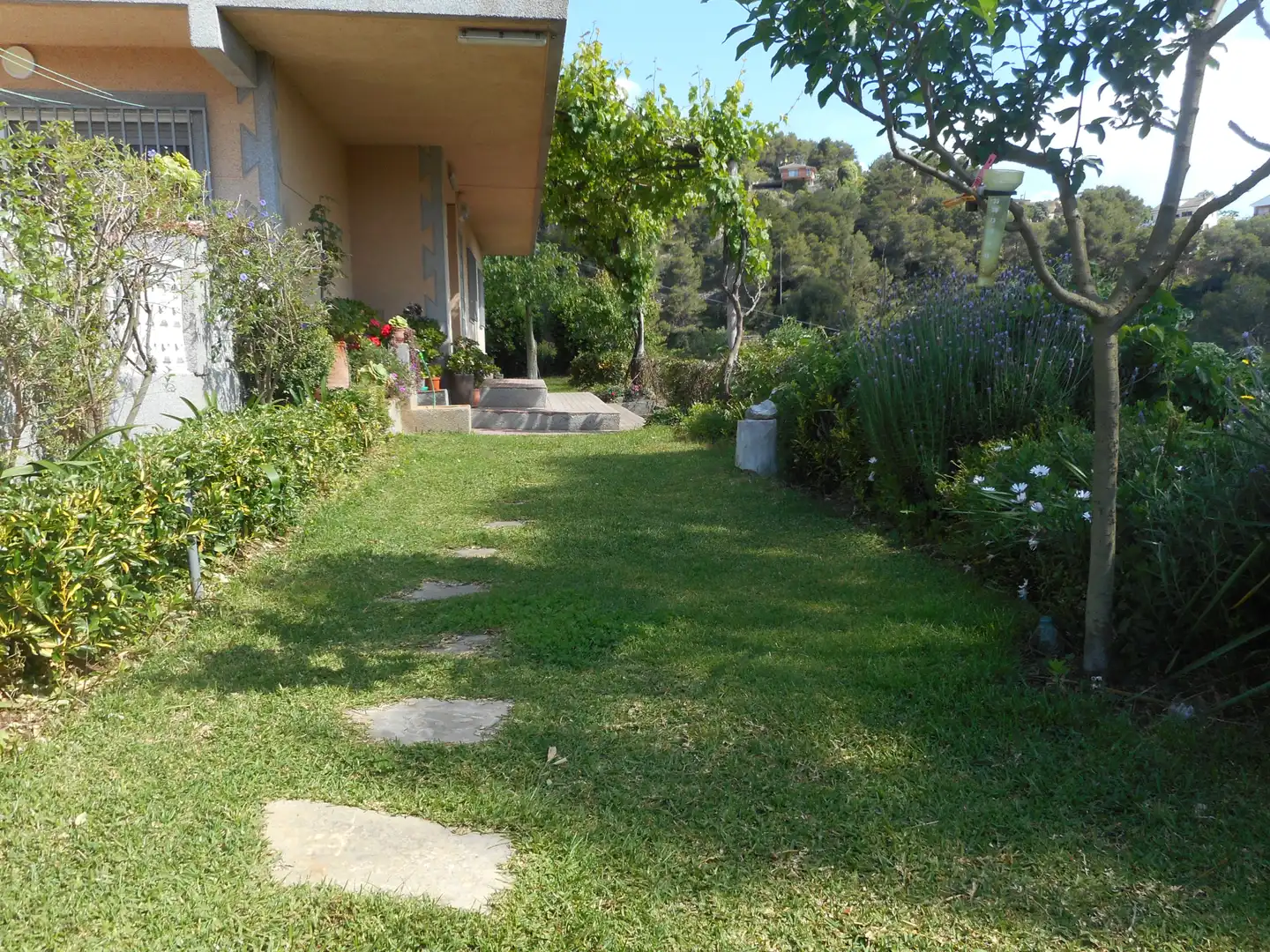 Jardí de Casa o xalet en venda en Olesa de Bonesvalls amb Calefacció, Jardí privat i Terrassa