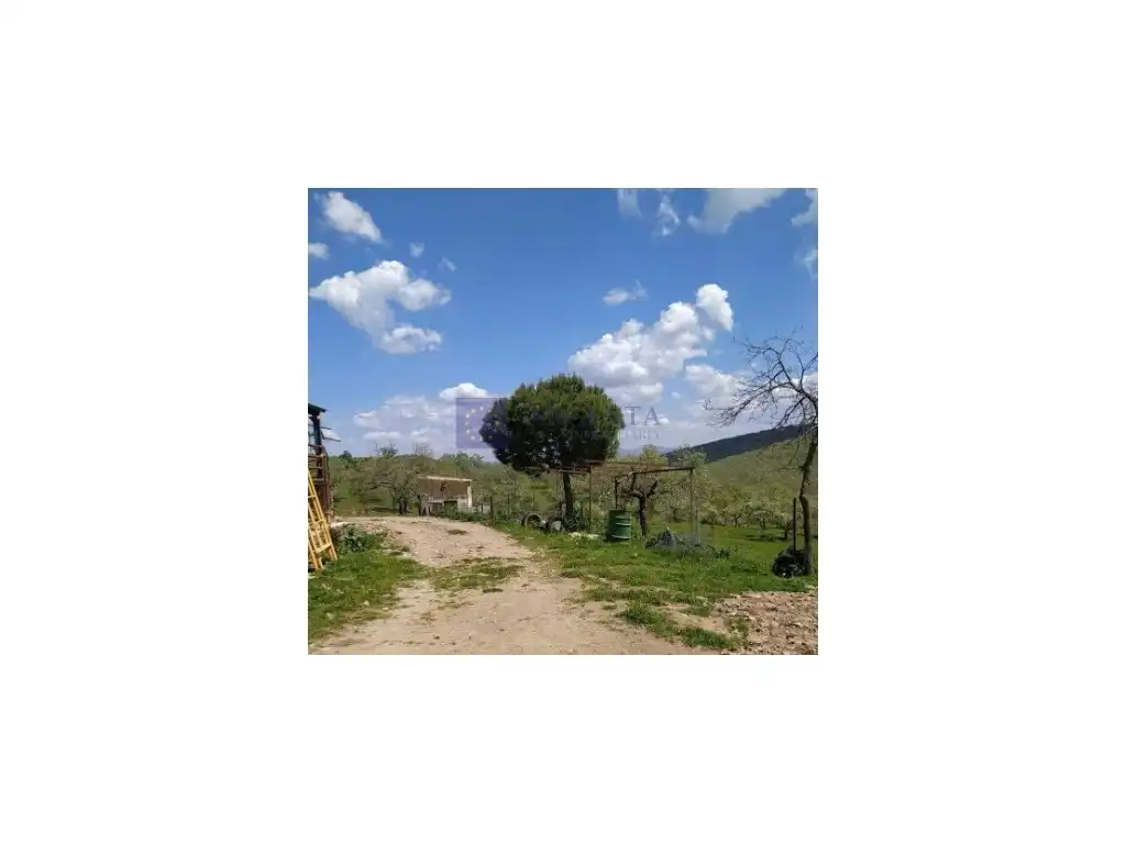 House for sale in Diseminados Carrascal, imagen 27