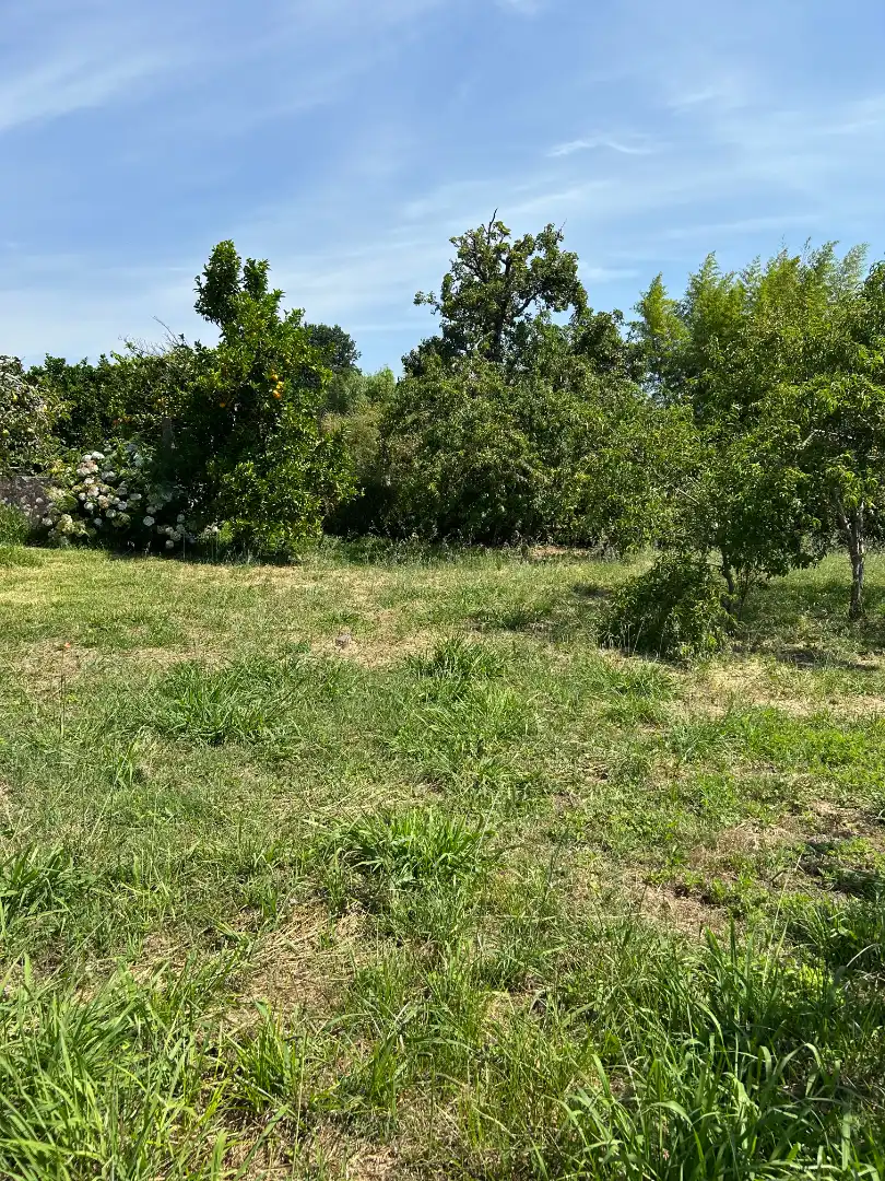 Casa o xalet en venda en Meis amb Jardí privat, Traster i Piscina