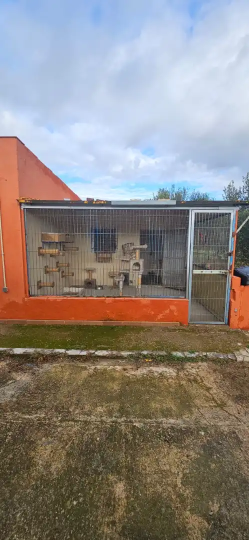 Vista exterior de Finca rústica en venta en Botarell con Jardín privado, Trastero y Amueblado