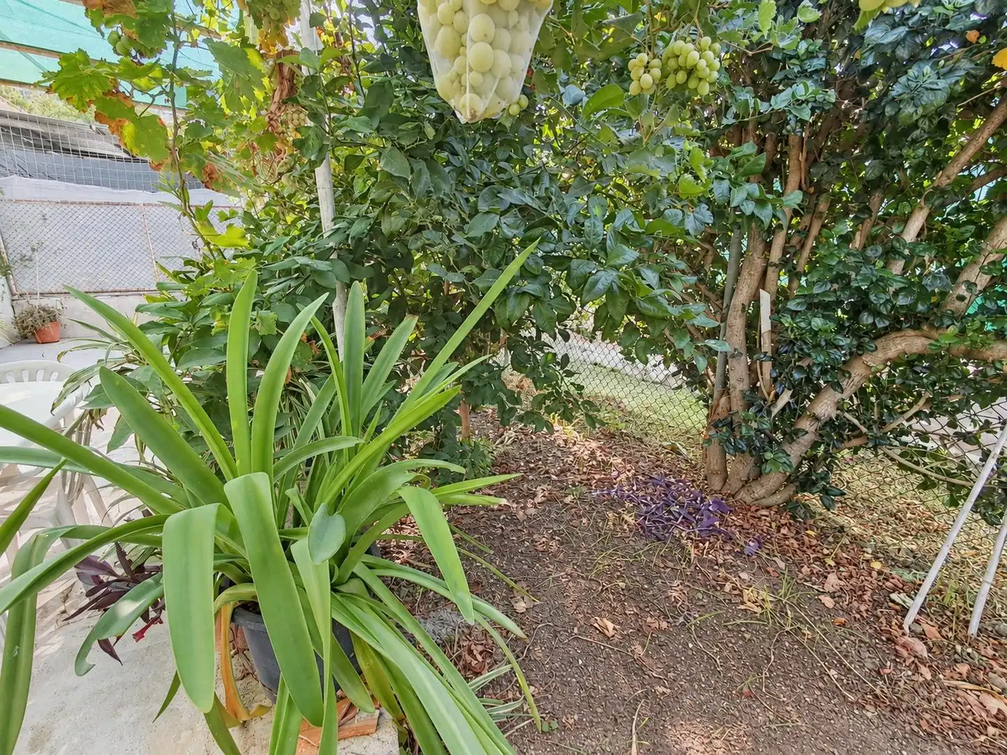 Jardín de Casa o chalet en venta en Murcia con Aire acondicionado, Calefacción y Terraza