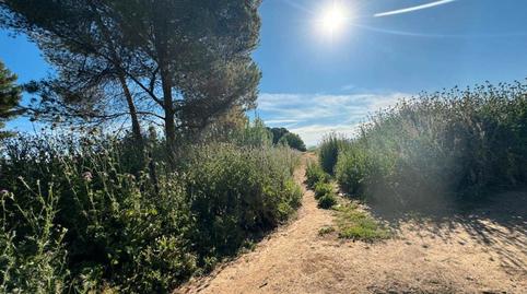 Photo 2 of Land for sale in La Garena, Alcalá de Henares