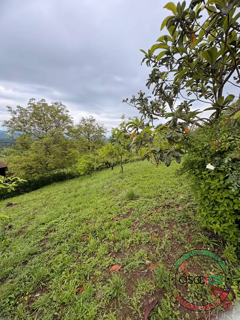 Terreni e lotti in vendita a Careses - Aldea Ordiales, imagen 18