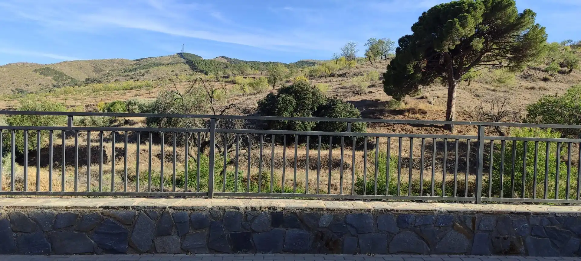 Commercial properties for sale in Tahal