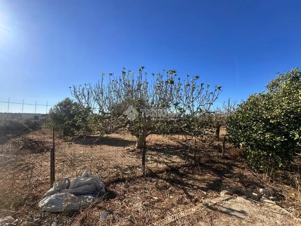 Casa rústica con jardín en venta en Pelagatos - Pago del Humo, imagen 16