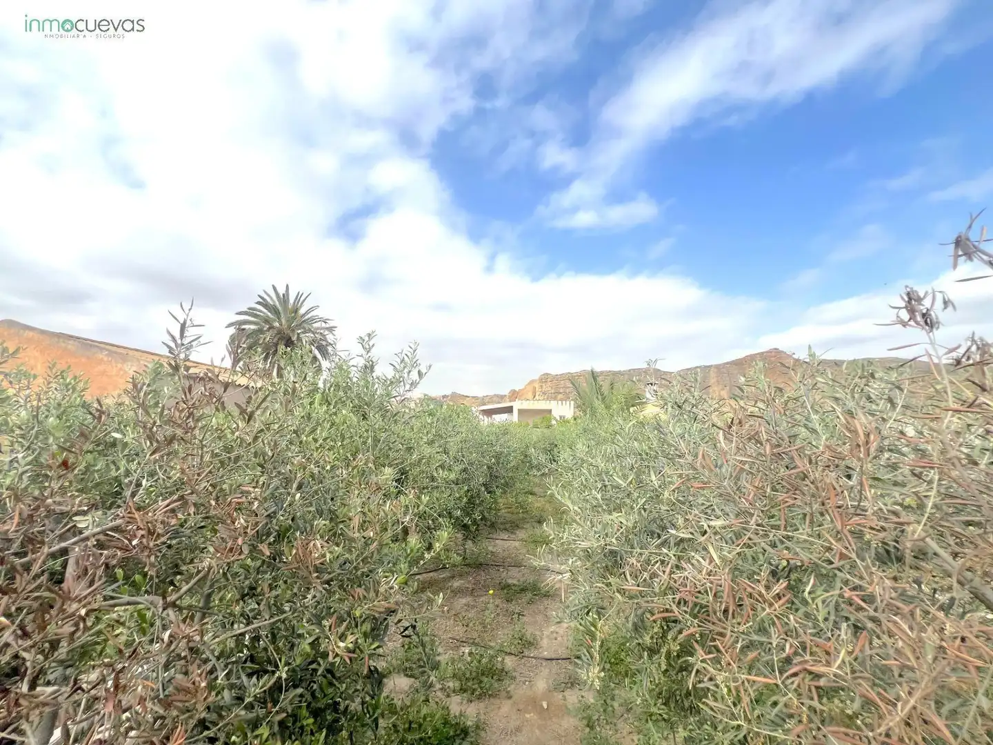 Casa rústica amb jardí en venda a Cuevas del Almanzora pueblo, imagen 34