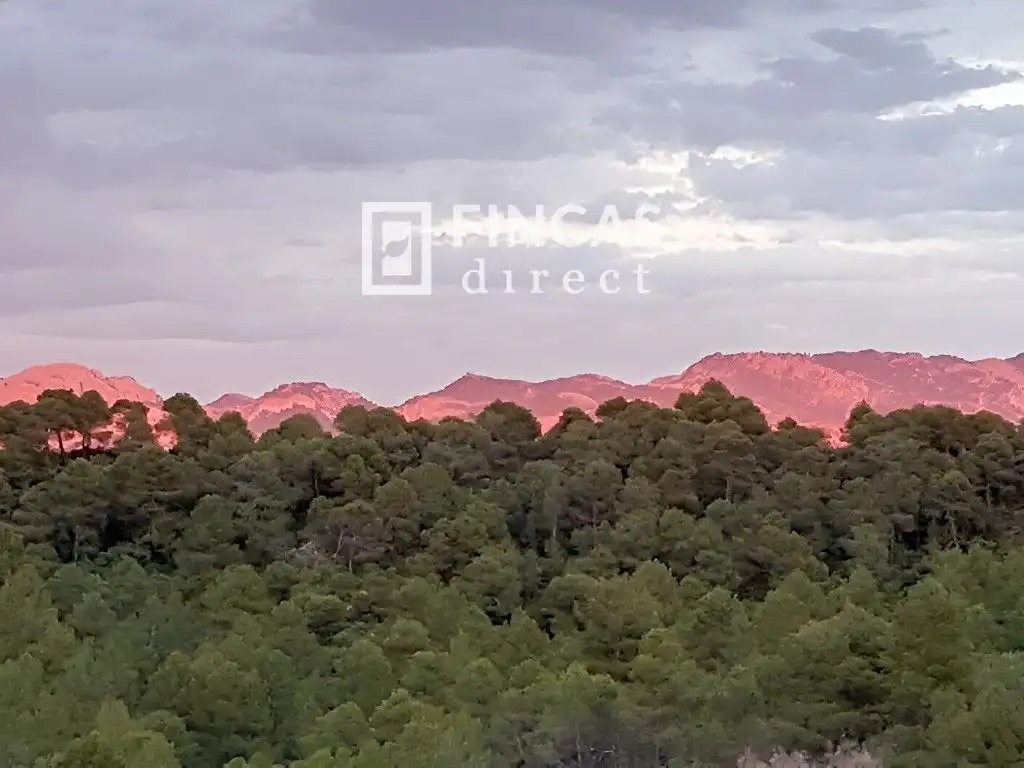Finca rústica en venda a V6P8+CX, Cretas