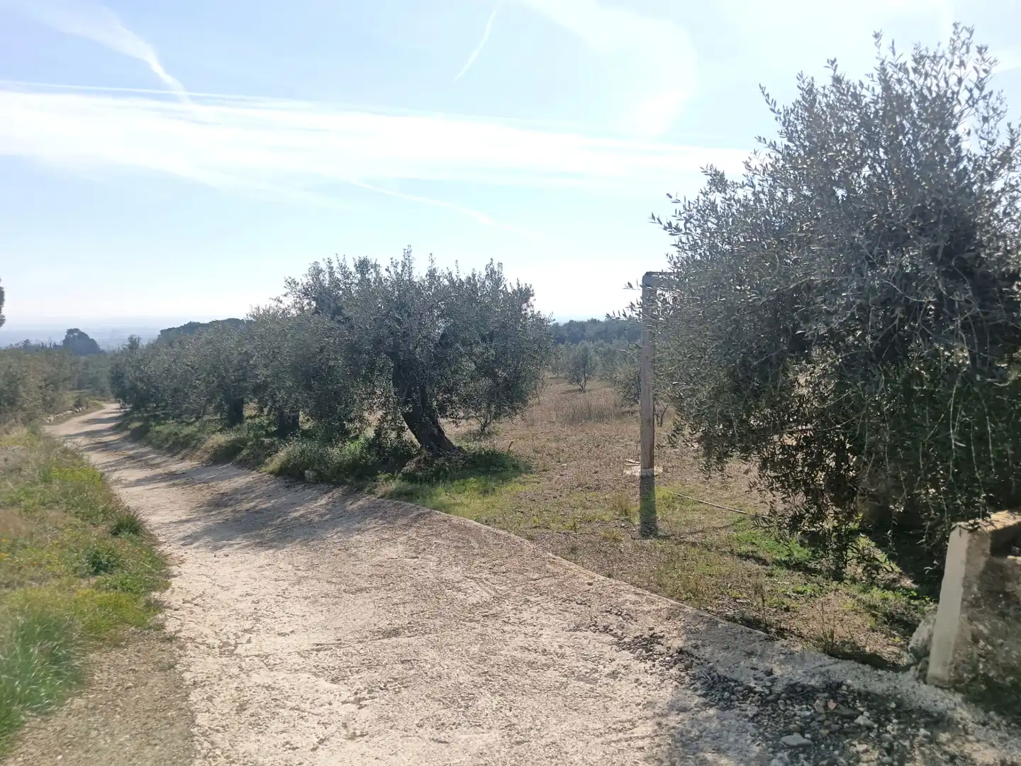 Terrain rustique à vendre à La Selva del Camp, imagen 16