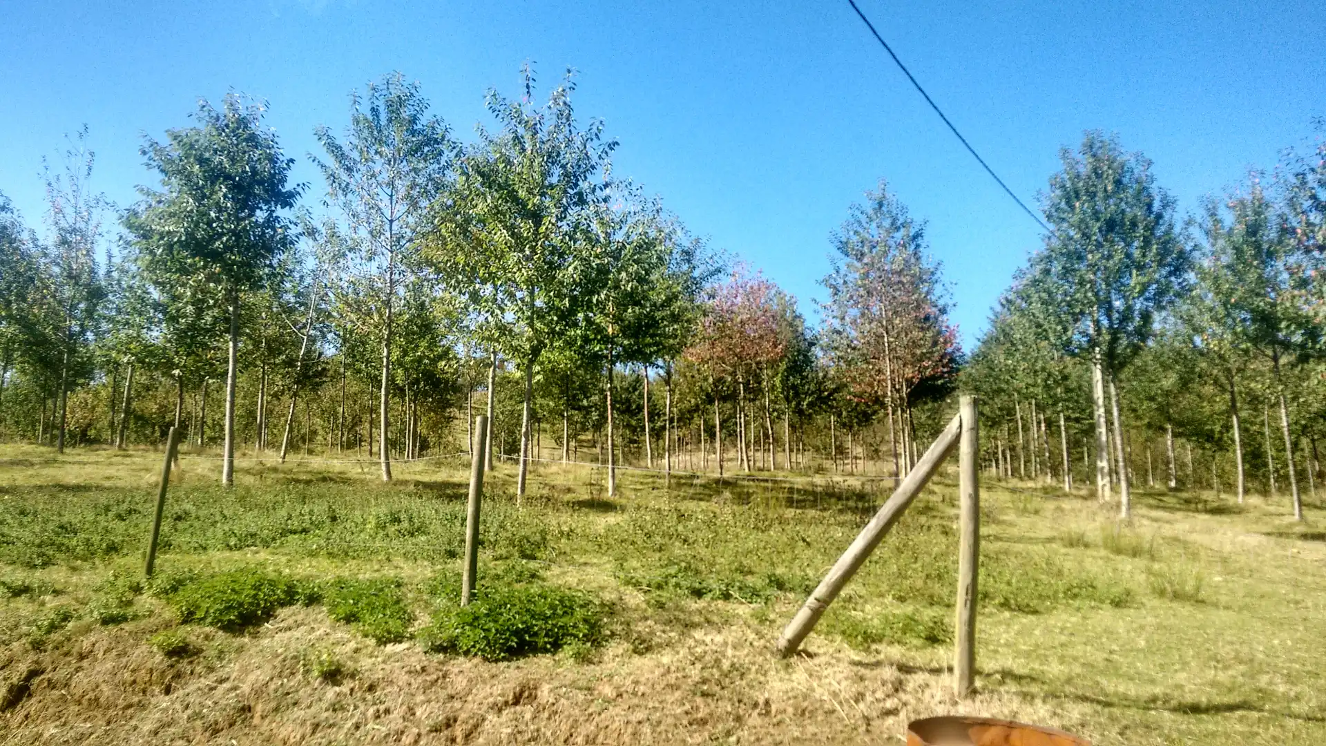 Casa o chalet en venta en Valdáliga con Calefacción, Jardín privado y Trastero