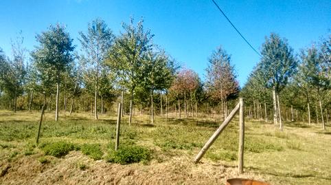 Foto 2 de Casa o chalet en venta en Treceño-sierra, Valdáliga, Cantabria