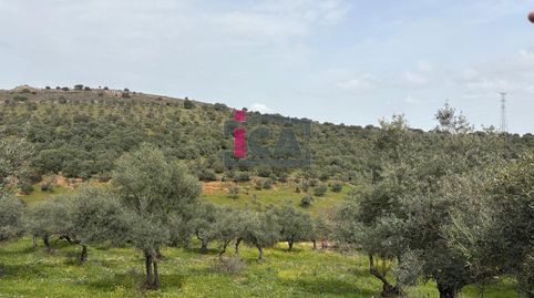 Foto 2 de Residencial en venda a Parcela en la Sierrilla, Ruta de la Plata, Cáceres Capital