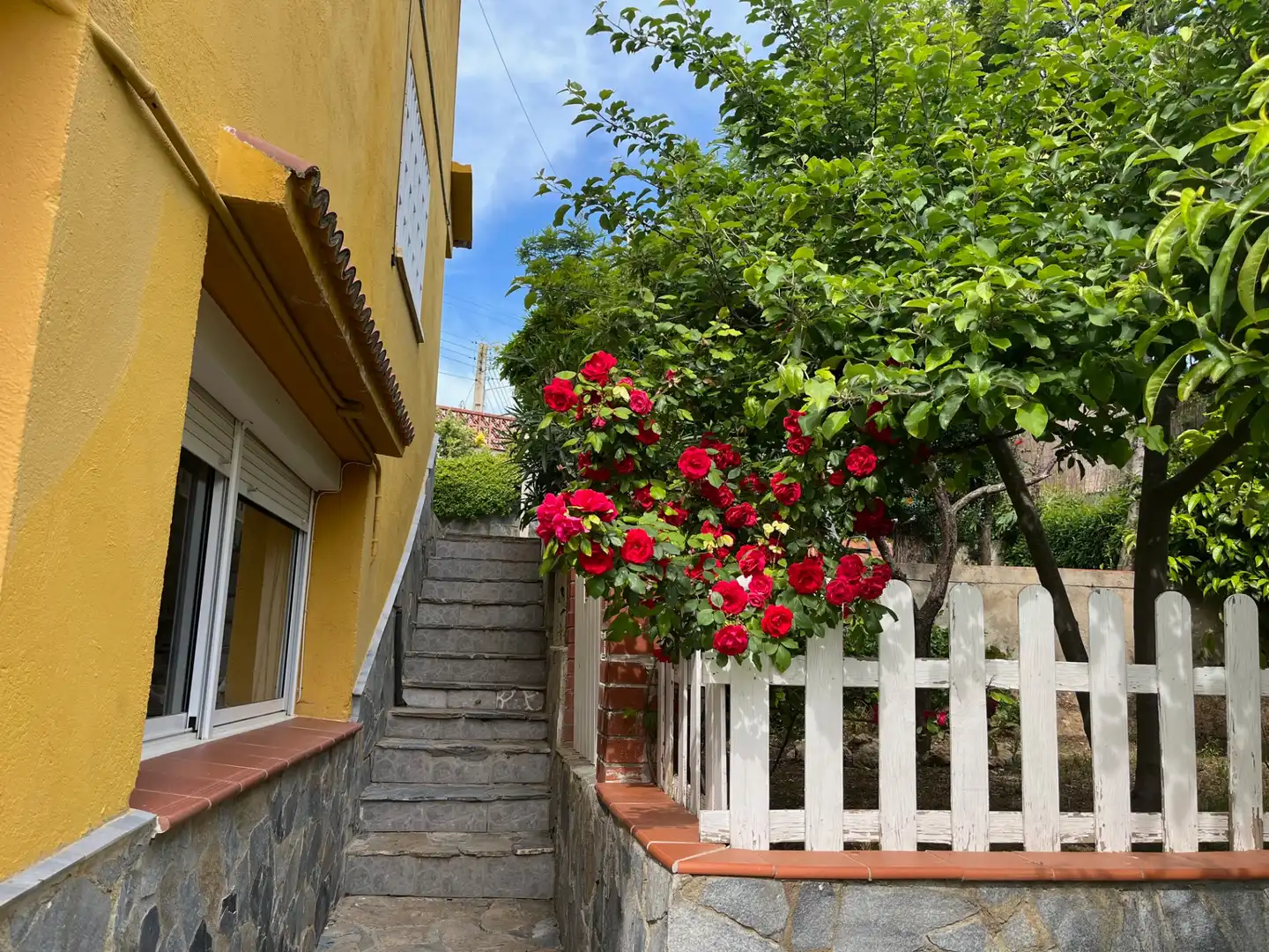 Casa o xalet en venda a Carrer de la Xixella, 1, Olivella