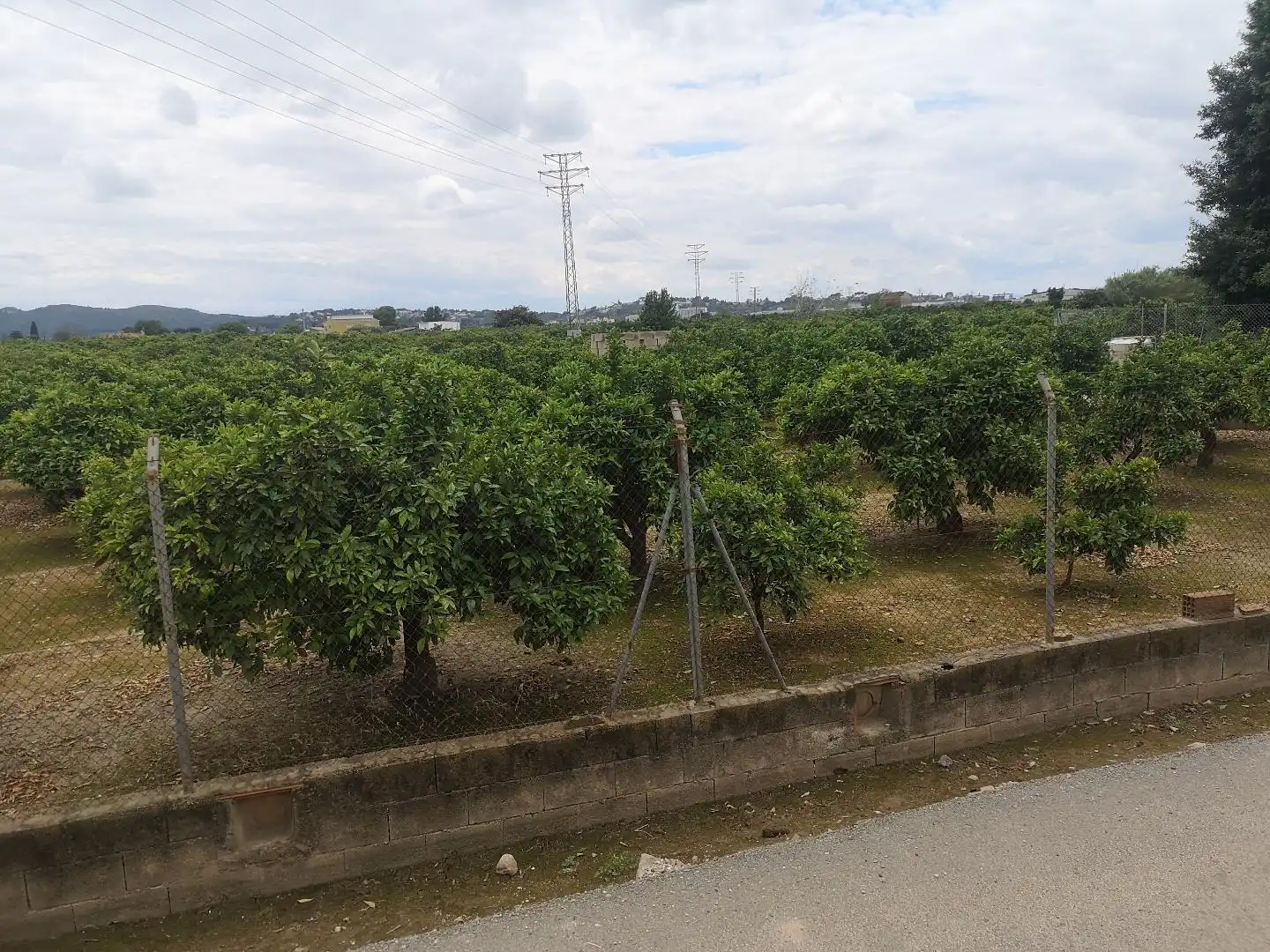 Residencial en venda en Alzira