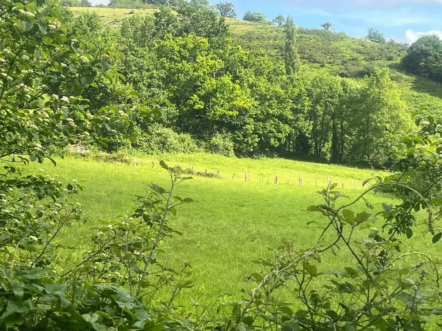 Land for sale in Beintza-Labaien