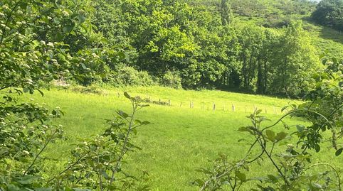 Foto 5 de Terreno en venta en Udaletxeko Karrika, Beintza-Labaien, Navarra