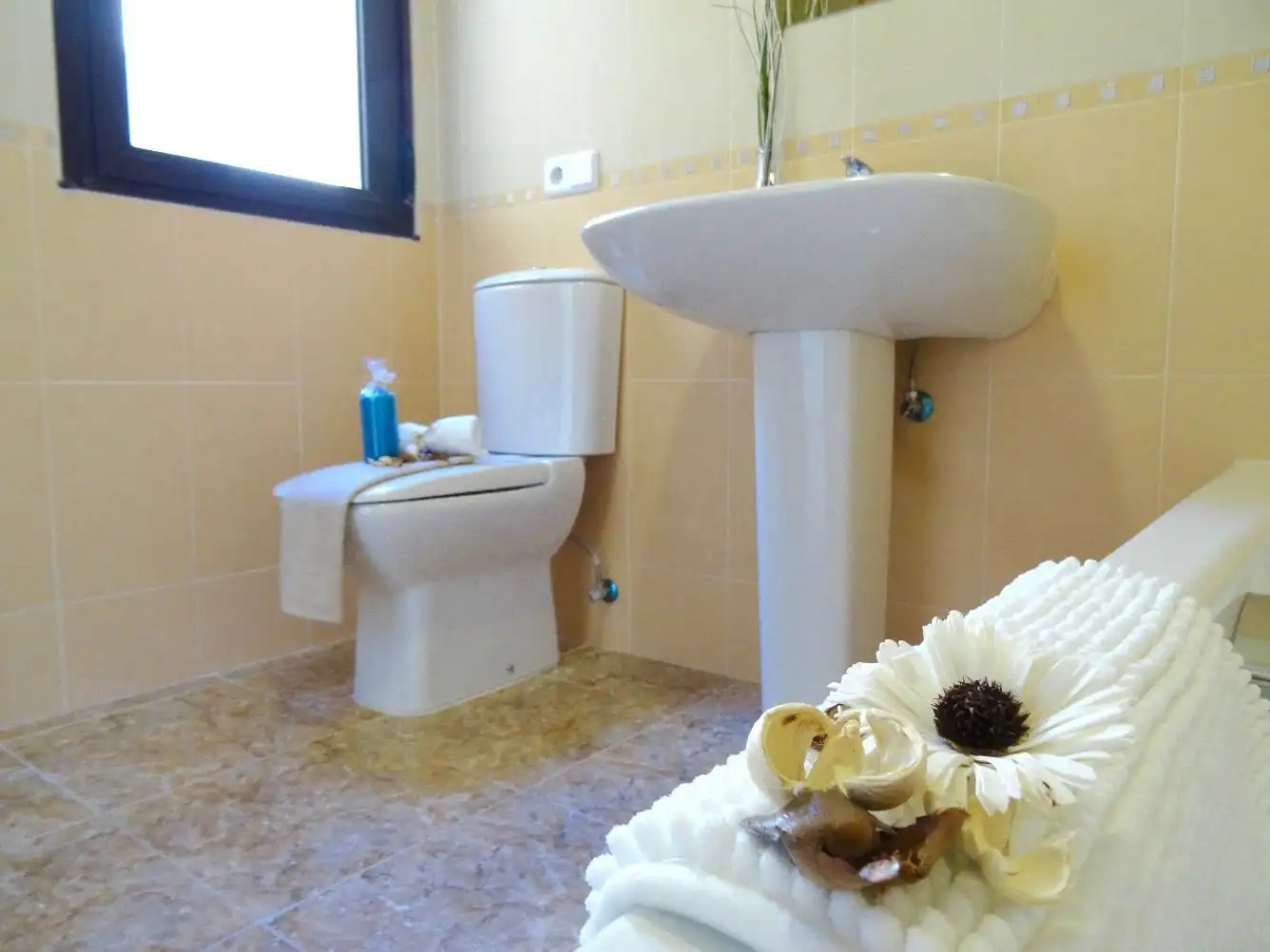 Bany de Dúplex de lloguer en Medina de Rioseco