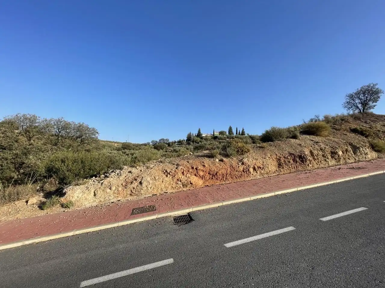 Terreni e lotti in vendita a Bobadilla - Bobadilla Estación - La Joya, imagen 4