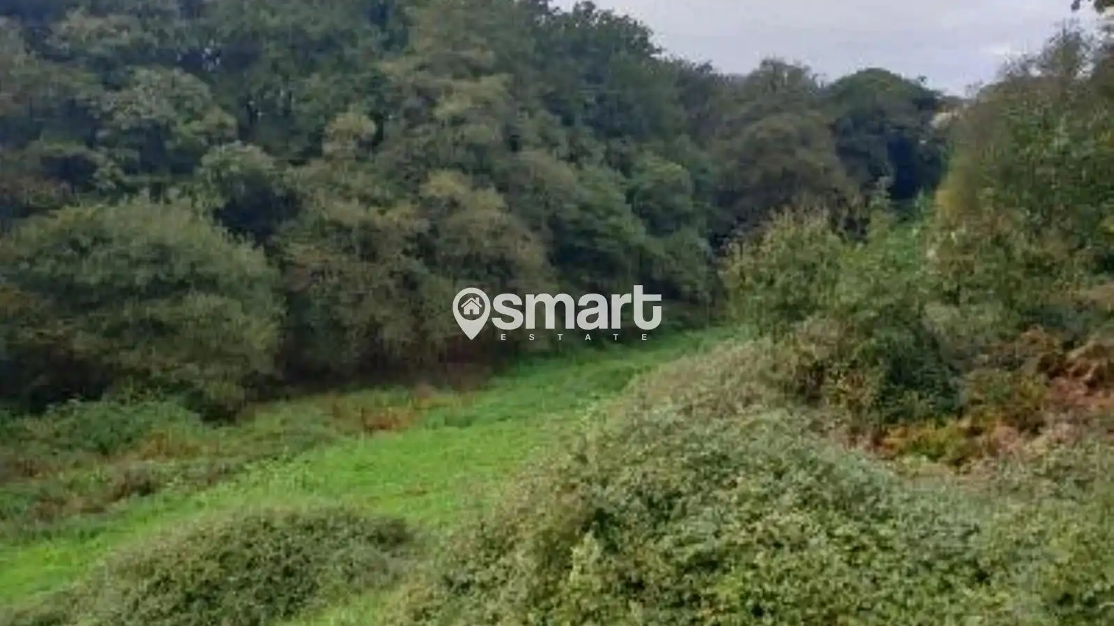 Terreno rustico in vendita a Villalegre - La Luz, imagen 9
