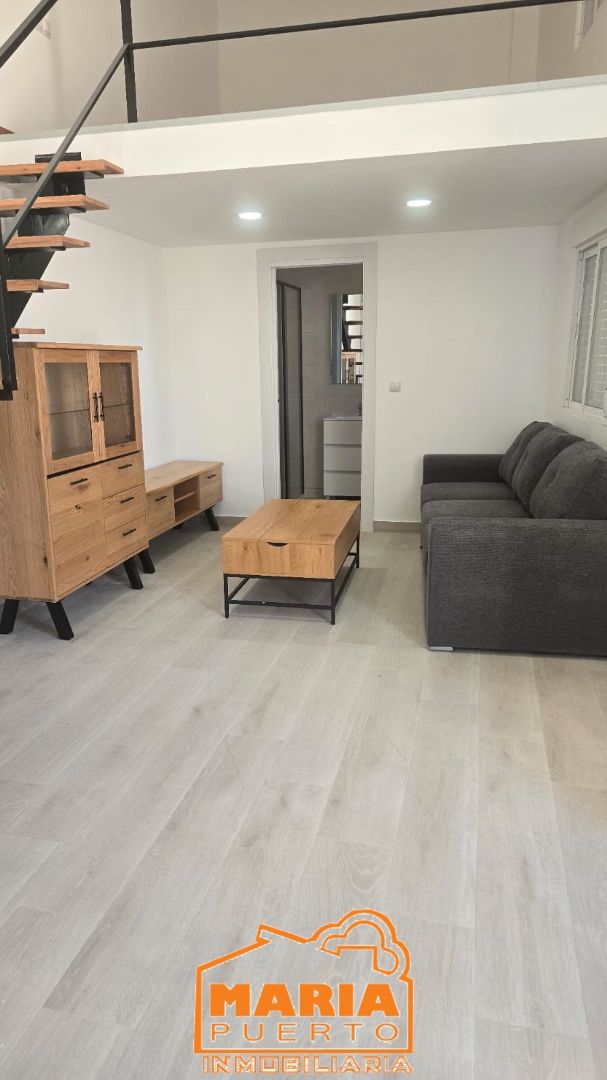Sala d'estar de Loft de lloguer en Málaga Capital amb Moblat i Rentadora