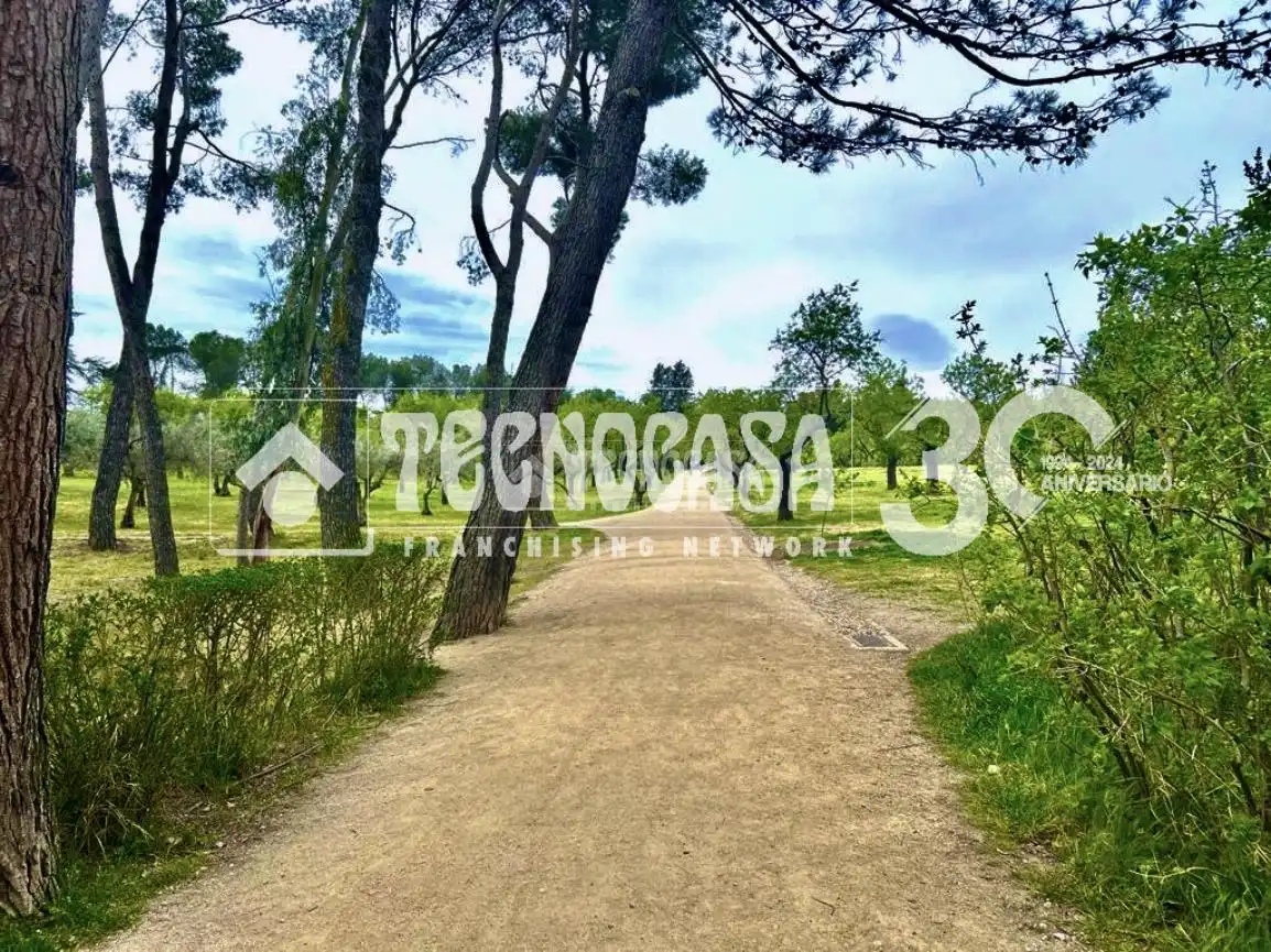 Individuale con ascensore in vendita a San Blas, imagen 14
