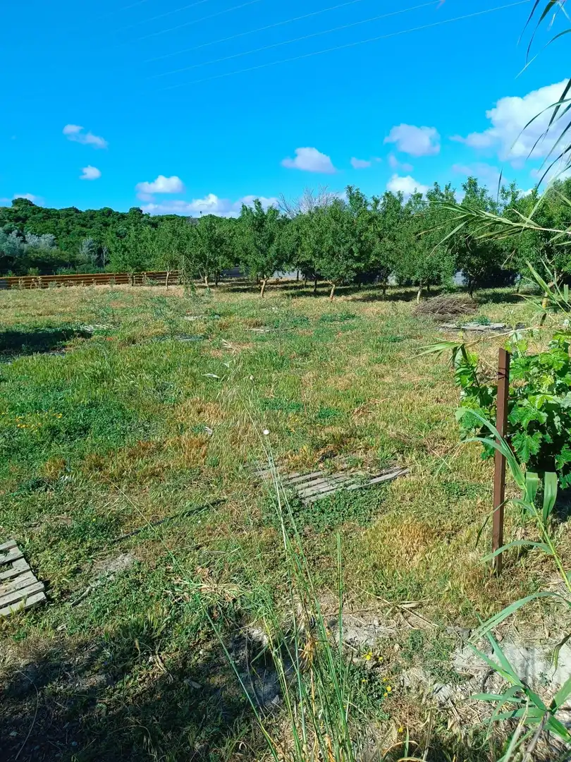 Casa o chalet en venta en Puerto Real