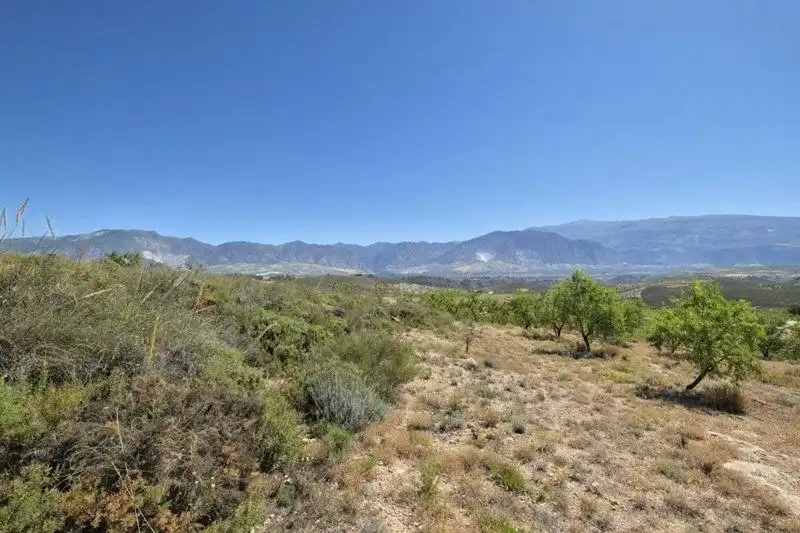 Terreny rústic en venda a Villamena, imagen 33