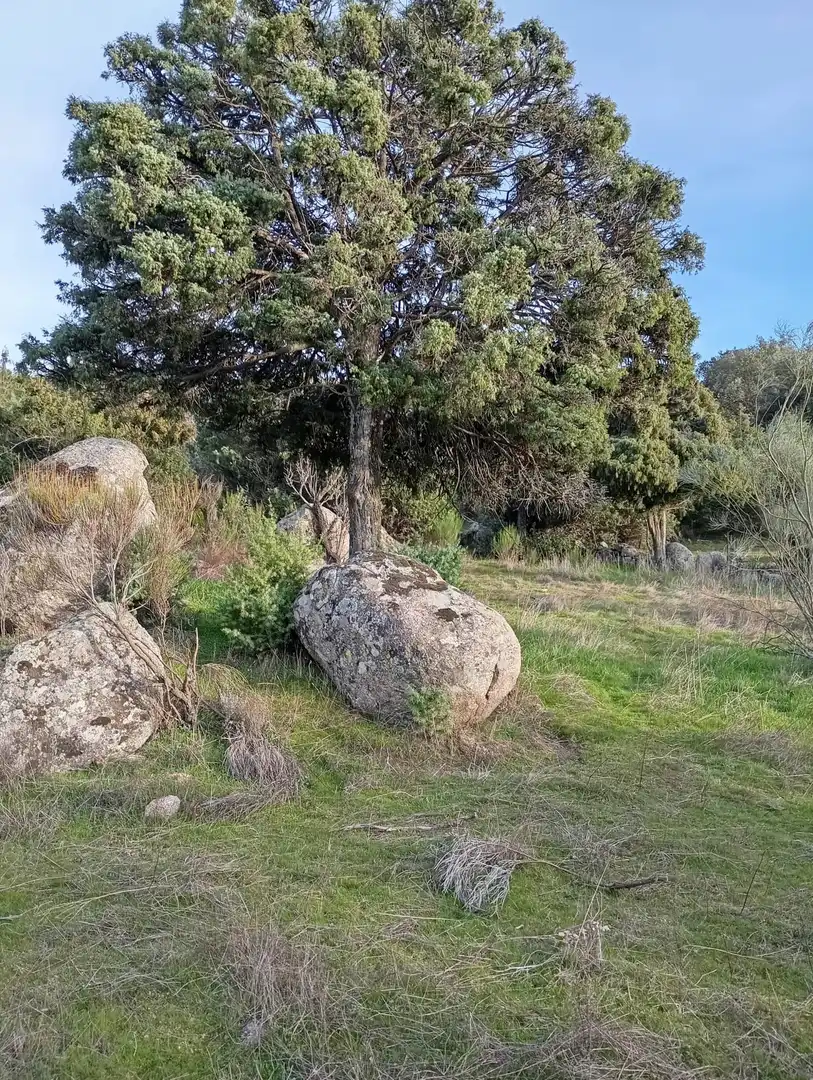 Terreno rustico in vendita a Fresnedillas de la Oliva, imagen 23