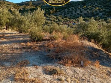 Terreni e lotti in vendita a Torredelcampo