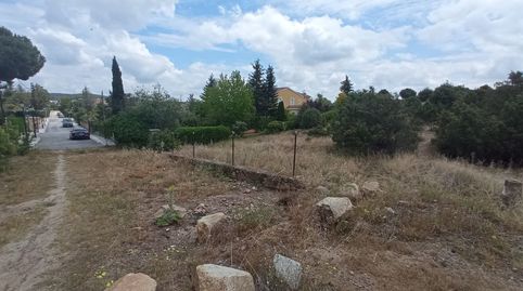 FINCA RUSTICA PROTEGIDA