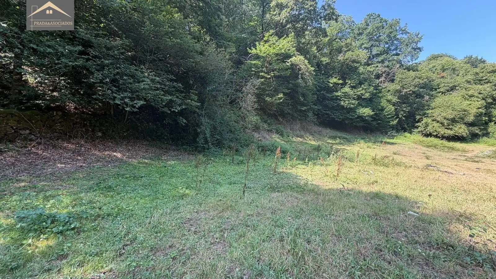 Residential land for sale in Ruente, imagen 8