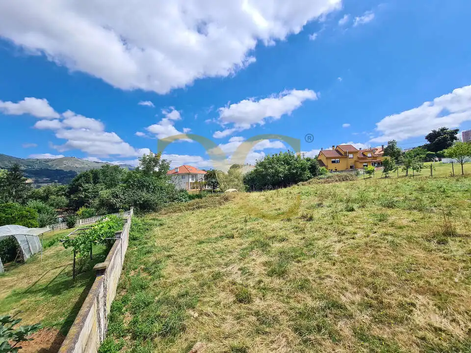 Terreny residencial en venda a El Monticu de Olivares, imagen 7