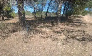 Finca rústica en venta en Jérica