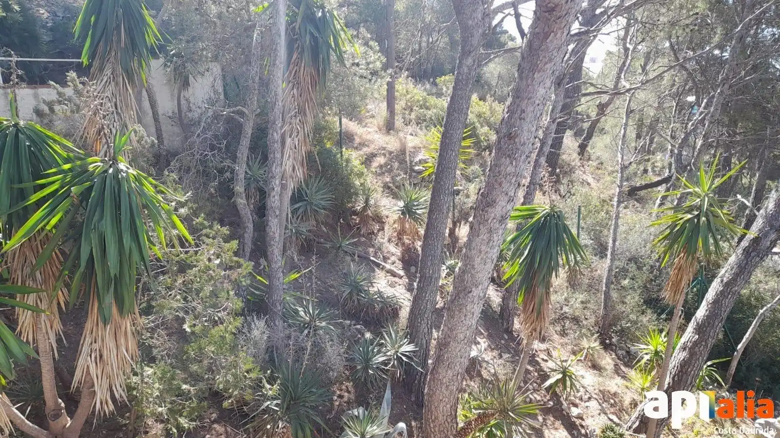 Maison avec piscine à vendre à Carretera del Far Roca, imagen 41
