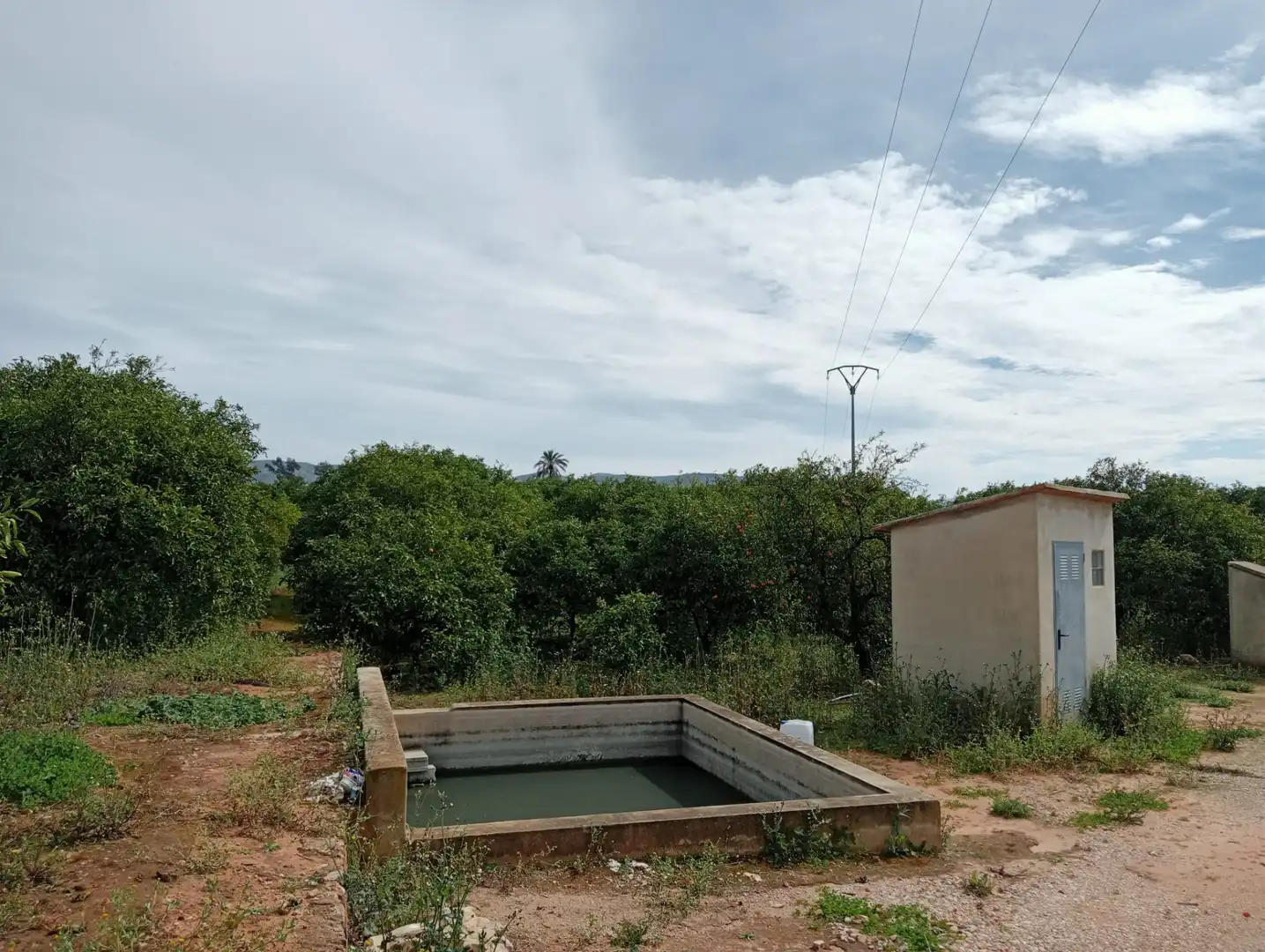 Terreny rústic en venda a Partida de la Serratella
