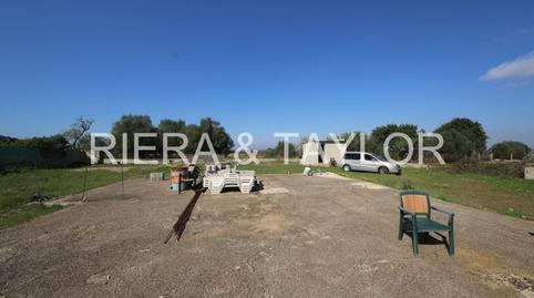 Foto 3 de Finca rústica en venta en Felanitx Poble, Felanitx