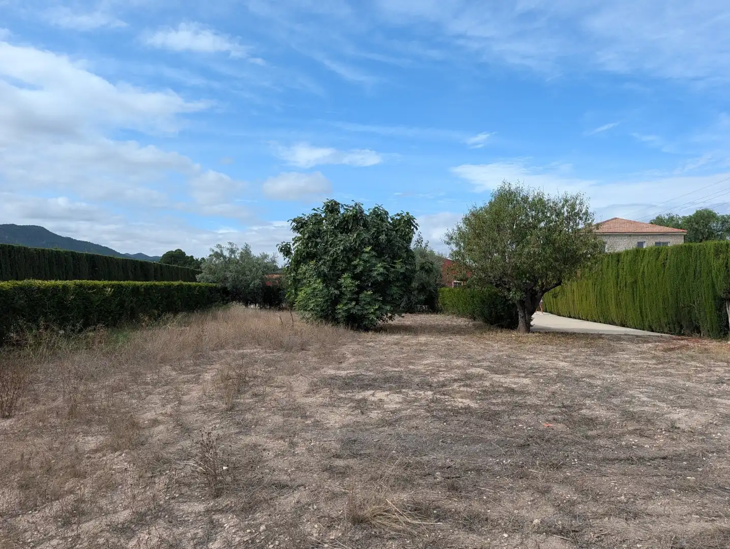 Maison rustique avec piscine à vendre à Sax, imagen 35