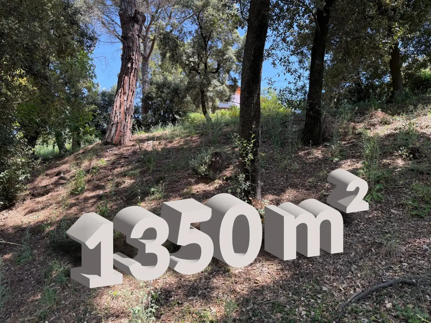 Lands and plots for sale in Carrer de Sant Bernat 7, imagen 3